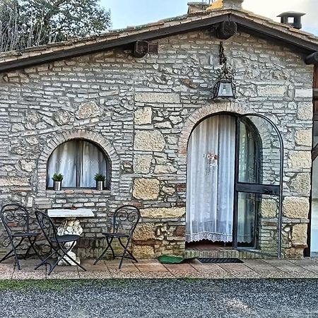 Vila Il Rustico Rosignano Marittimo Exteriér fotografie